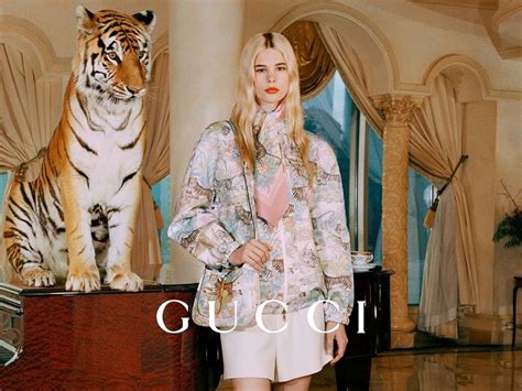 gucci tiger history